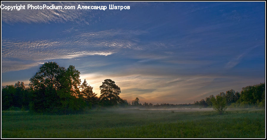Field, Grass, Grassland, Land, Outdoors, Dawn, Dusk