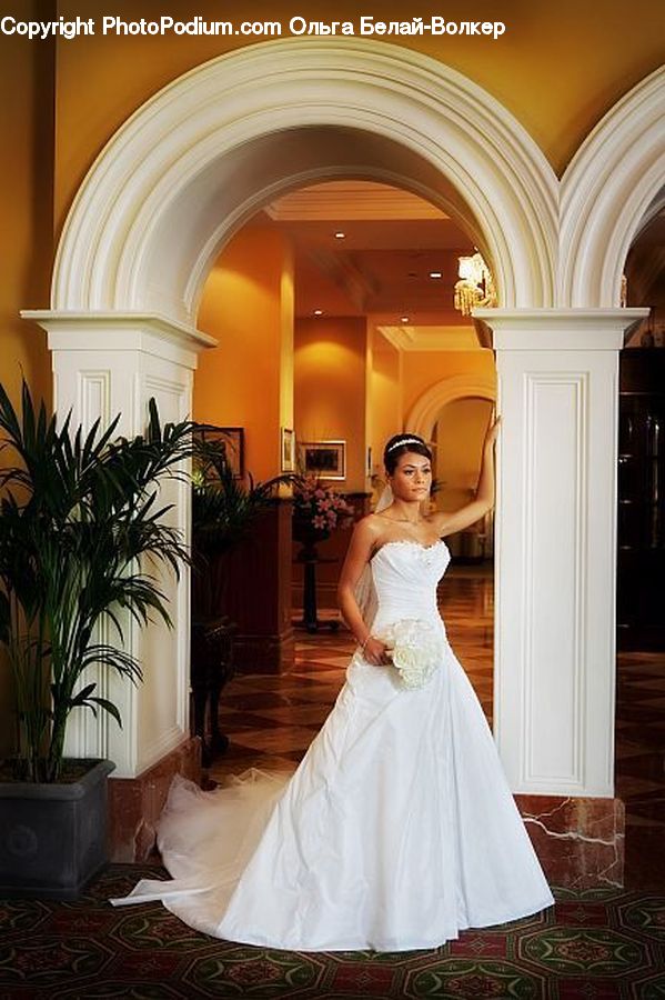 Plant, Potted Plant, People, Person, Human, Bride, Gown