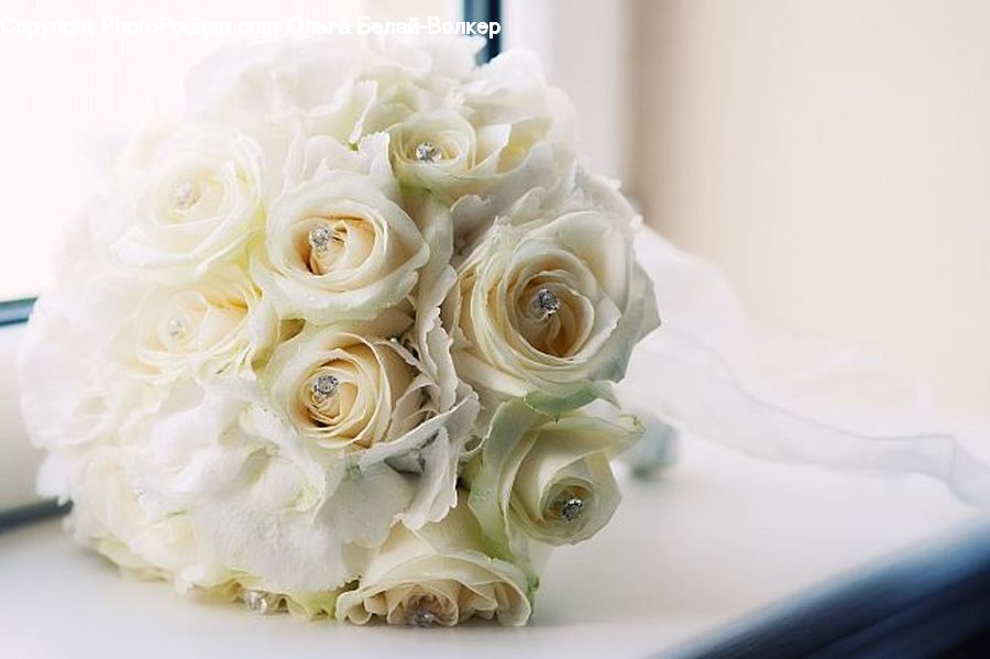 Blossom, Flora, Flower, Plant, Flower Arrangement, Flower Bouquet, Rose