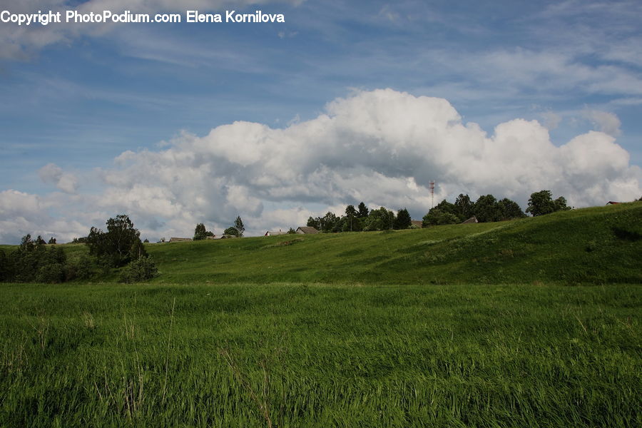 Field, Grass, Grassland, Land, Outdoors, Cloud, Cumulus