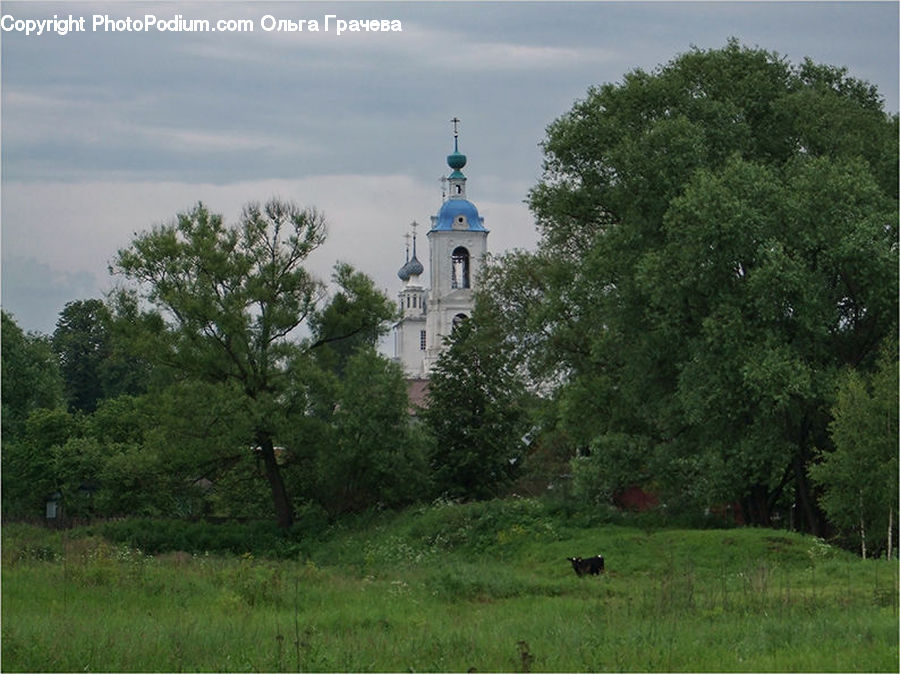 Architecture, Bell Tower, Clock Tower, Tower