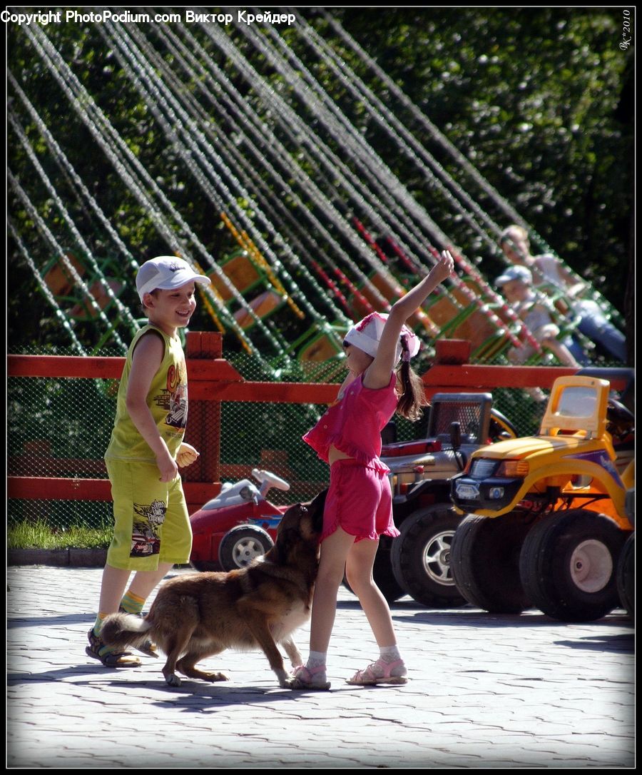 People, Person, Human, Animal, Canine, Collie, Dog