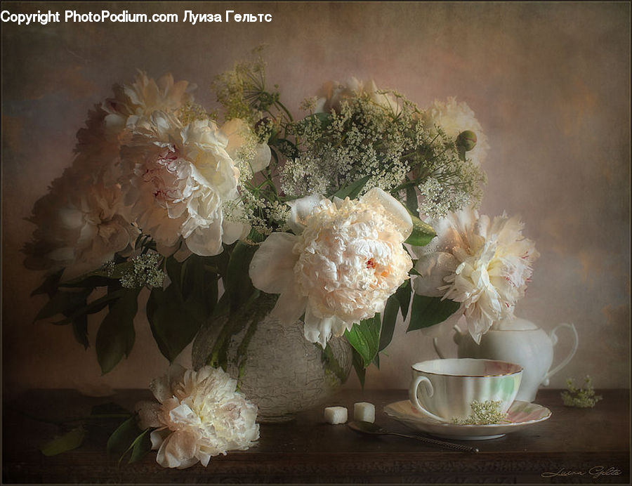 Blossom, Flower, Peony, Plant, Potted Plant, Flora, Petal