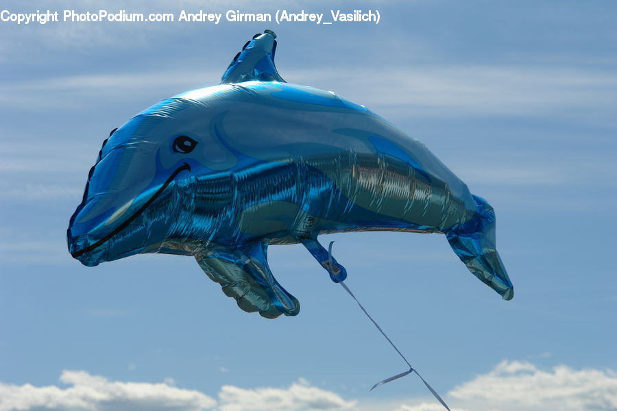 Animal, Dolphin, Fish, Sea Life, Ocean, Outdoors, Sea