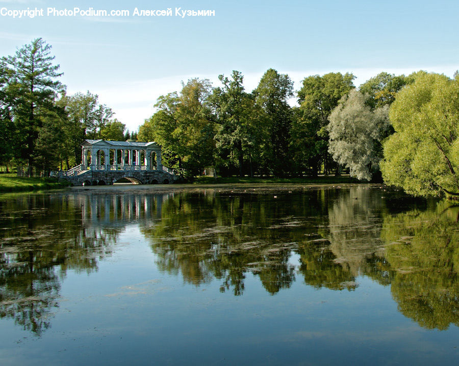 Outdoors, Pond, Water, Gazebo, Park, Blossom, Flora