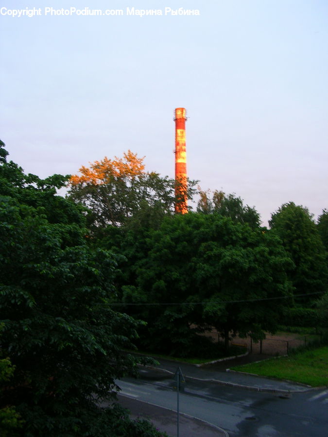Forest, Jungle, Rainforest, Vegetation, Architecture, Bell Tower, Clock Tower