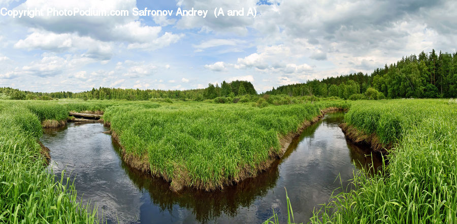 Ditch, Land, Marsh, Outdoors, Swamp, Water, Field