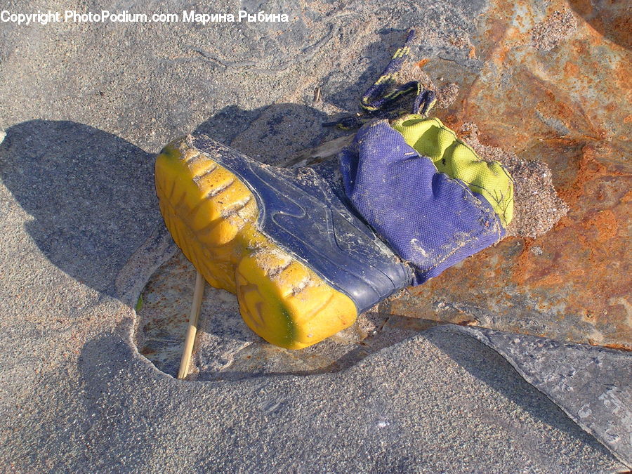 Pavement, Asphalt, Tarmac, Footwear, Shoe, Box Turtle, Reptile