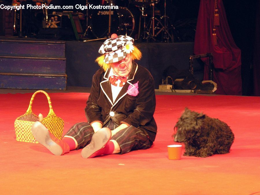 People, Person, Human, Clown, Performer, Kart