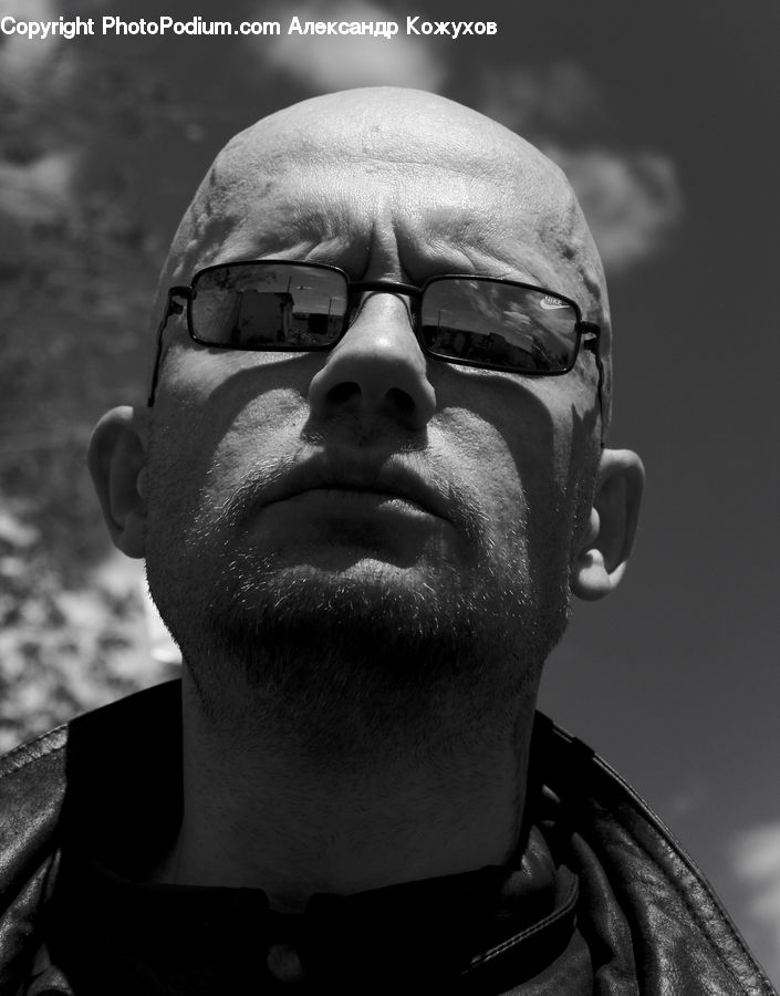 People, Person, Human, Head, Portrait, Glasses