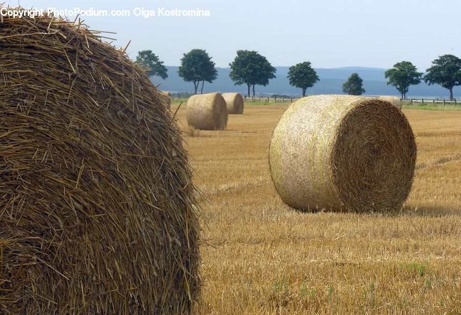 Countryside, Hay, Straw, Field, Outdoors, Grass, Grassland