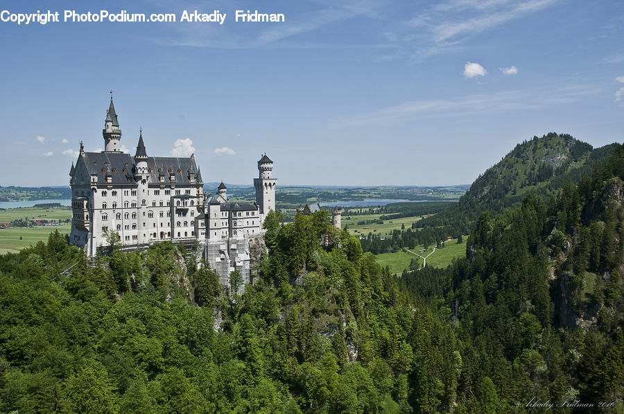 Architecture, Castle, Fort, Housing, Monastery, Conifer, Fir