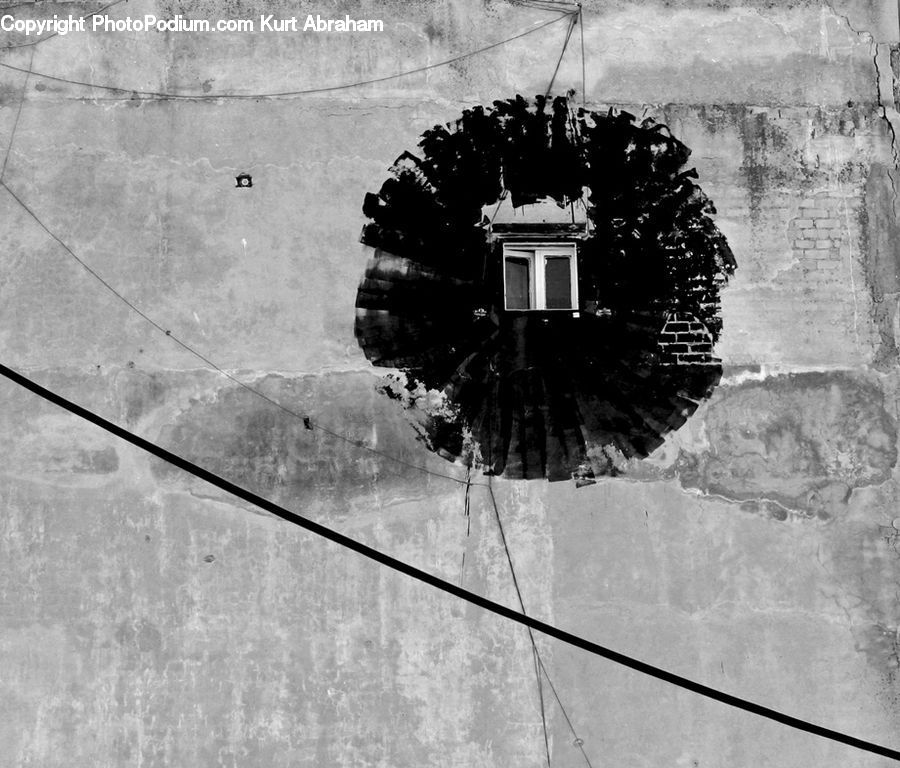 Ivy, Plant, Vine, Hole, City, Downtown, Metropolis
