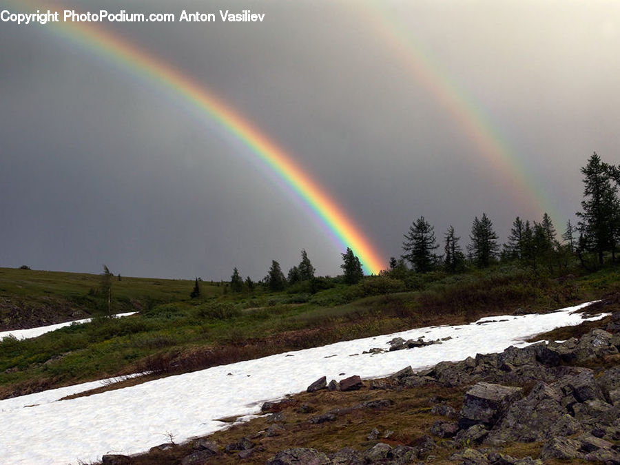 Outdoors, Rainbow, Sky, Field, Grass, Grassland, Plant