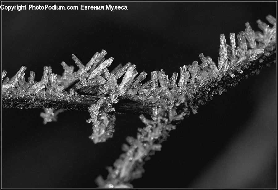 Frost, Ice, Outdoors, Snow