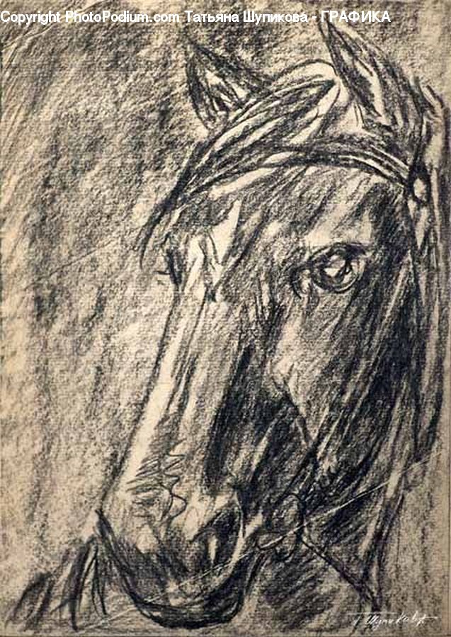 Drawing, Sketch, Paper