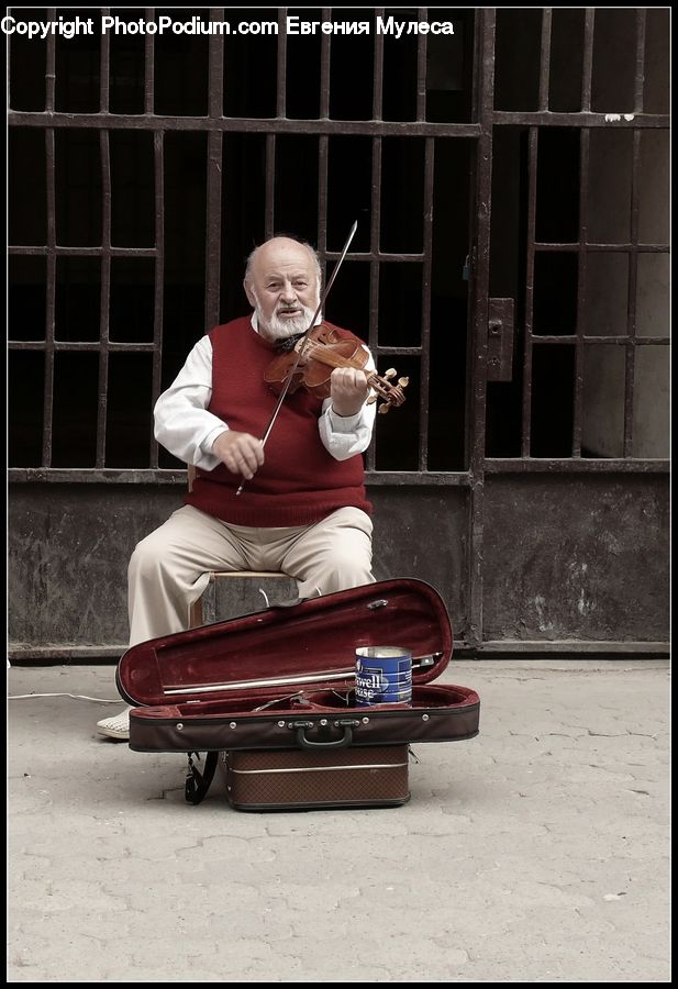 People, Person, Human, Fiddle, Musical Instrument, Viola, Violin