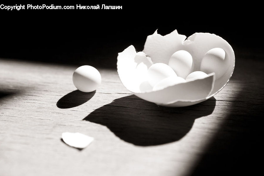 Blossom, Flora, Flower, Petal, Plant, Sphere, Egg