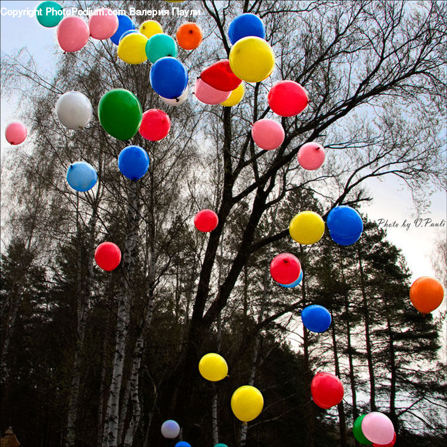 Lantern, Ball, Balloon, Blossom, Flora, Flower, Plant