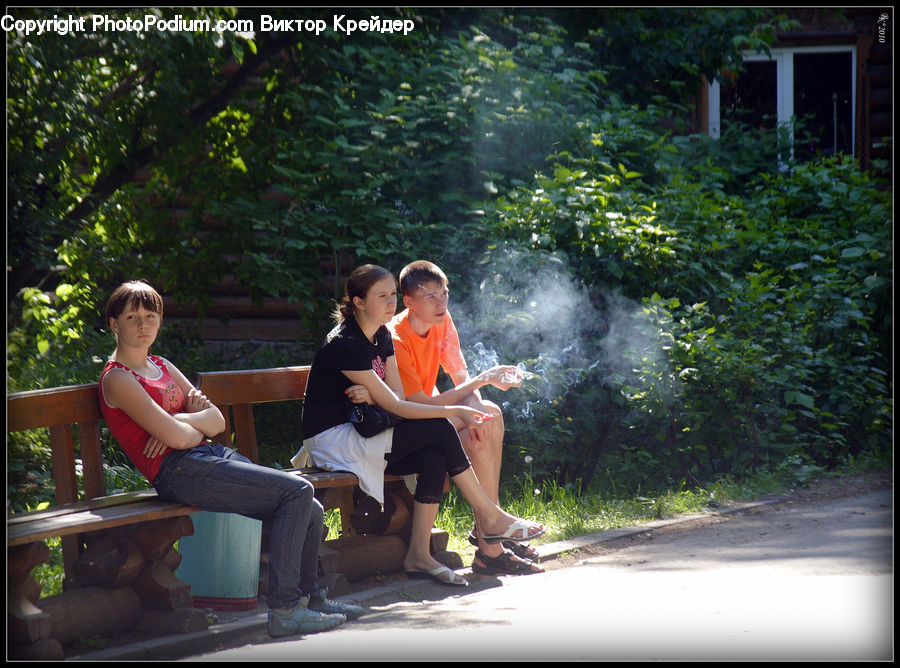 People, Person, Human, Bench, Couch, Furniture, Plant