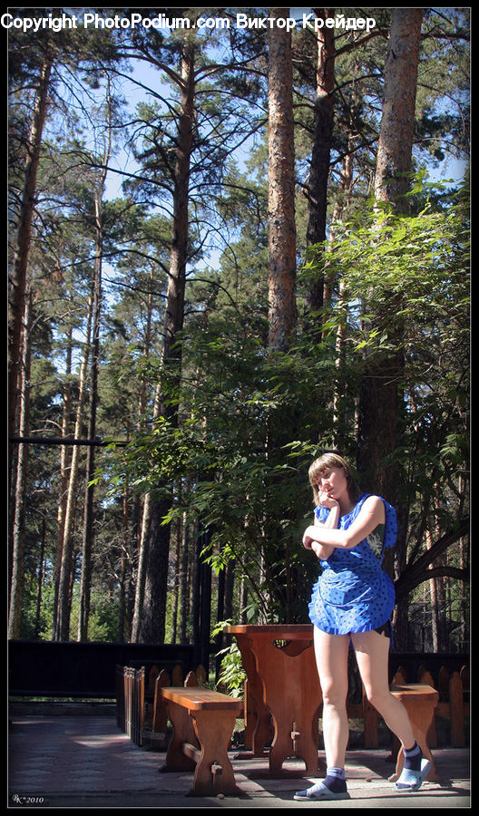 Human, People, Person, Plant, Potted Plant, Forest, Jungle