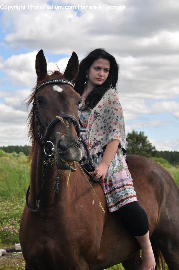 People, Person, Human, Animal, Horse, Mammal, Equestrian