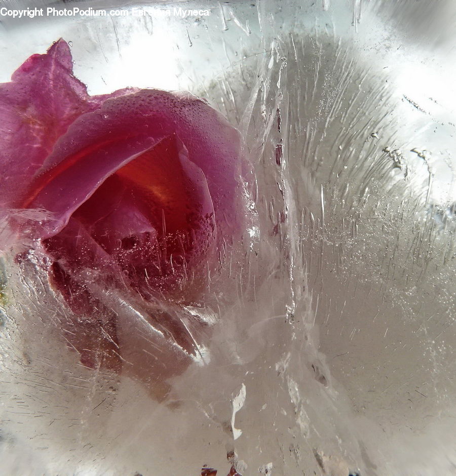 Water, Ice, Outdoors, Snow