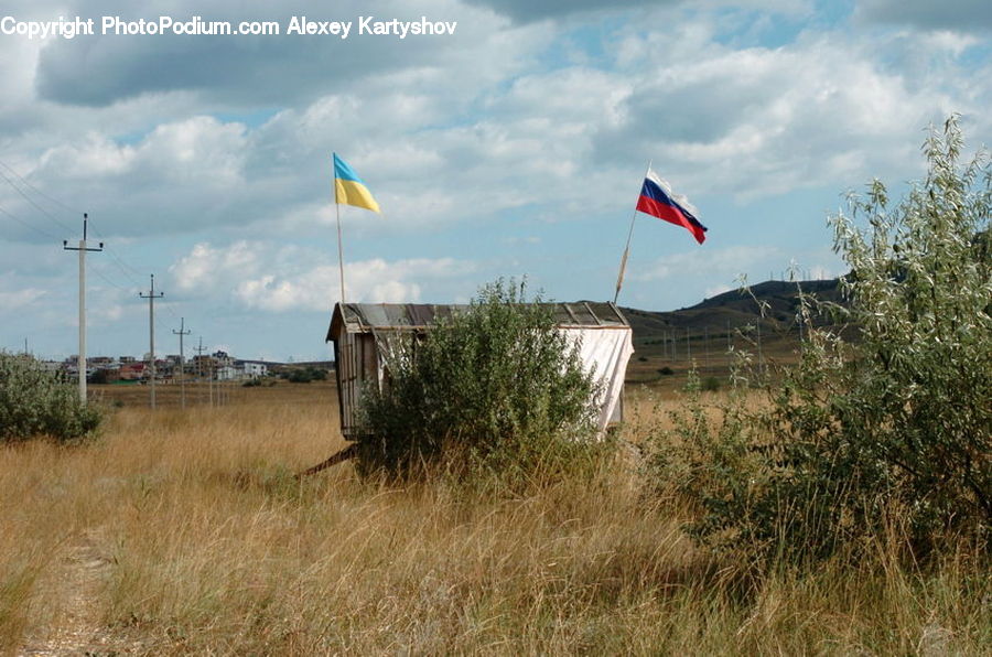 Kite, Field, Grass, Grassland, Land, Outdoors, Grain