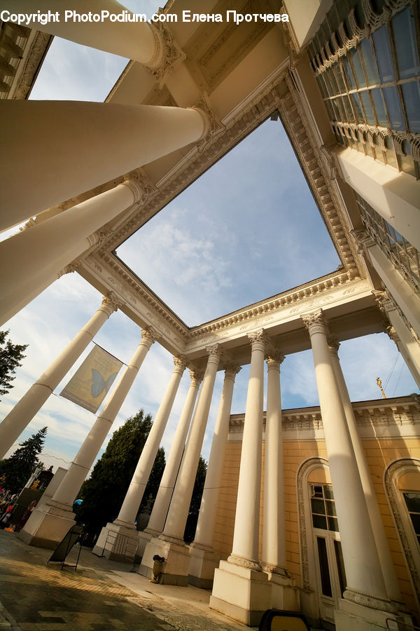 Column, Pillar, Plant, Potted Plant, Arch, Building, Architecture
