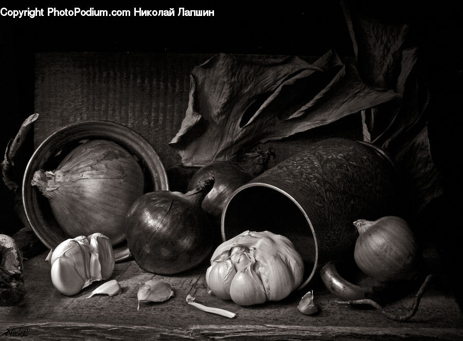 Garlic, Plant, Produce, Vegetable, Onion, Shallot, Rock