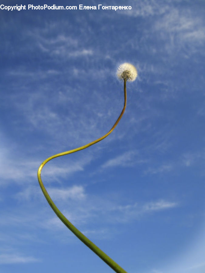 Lamp Post, Pole, Field, Grass, Grassland, Plant, Building