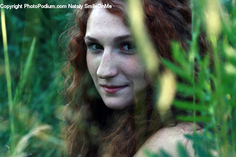 Plant, Tree, Willow, Female, Girl, Person, Woman