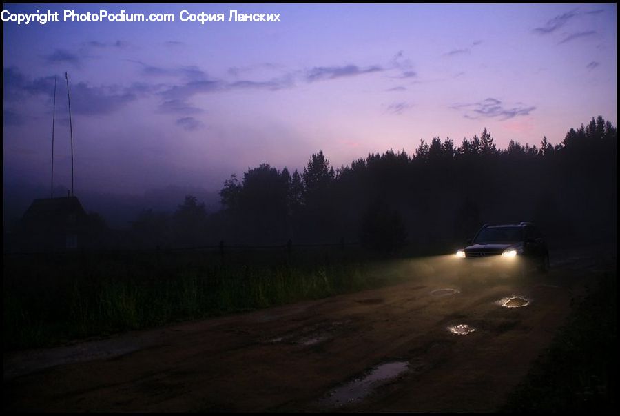 Dirt Road, Gravel, Road, Forest, Vegetation