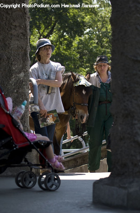 People, Person, Human, Animal, Horse, Mammal, Hat