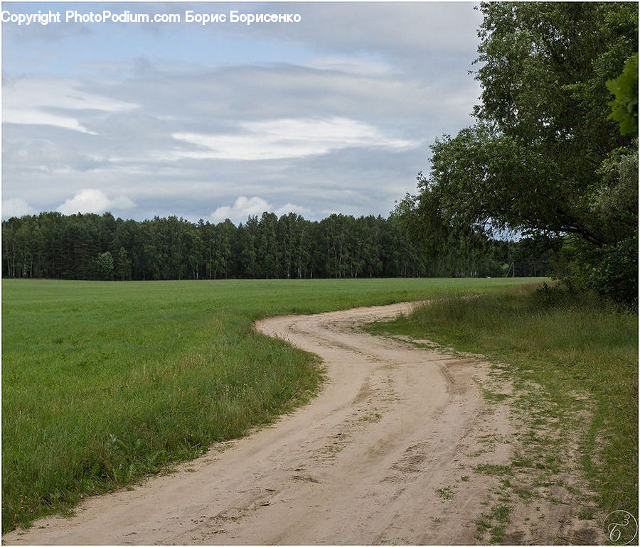 Dirt Road, Gravel, Road