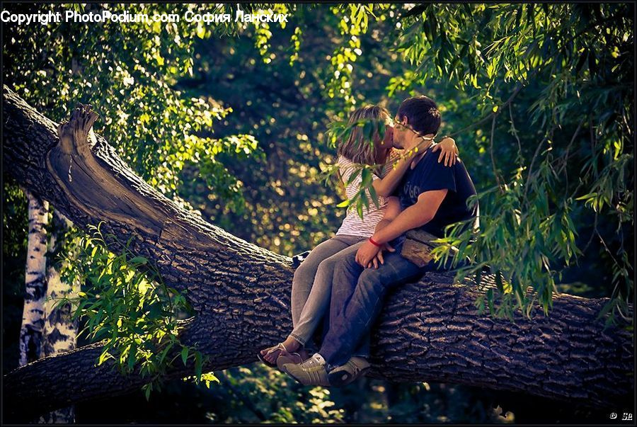 People, Person, Human, Hug, Forest, Jungle, Bench