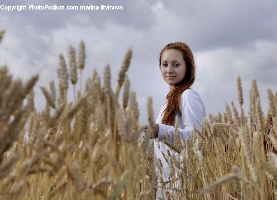 People, Person, Human, Grain, Grass, Plant, Wheat