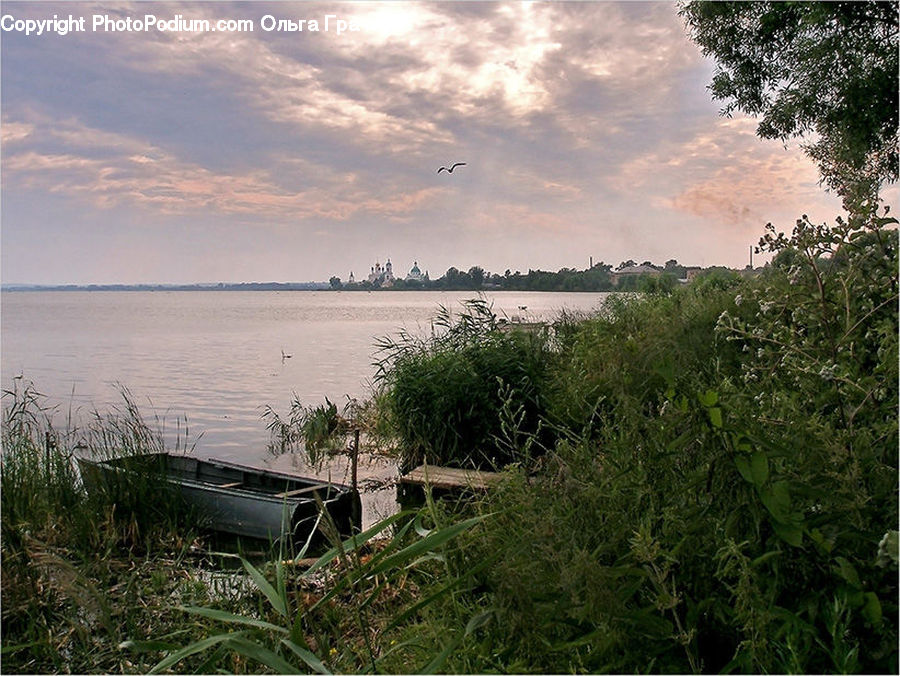 Boat, Watercraft, Grass, Plant, Reed, Produce, Spinach