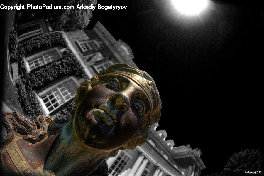 Art, Gargoyle, Statue, Plant, Potted Plant, City, Downtown