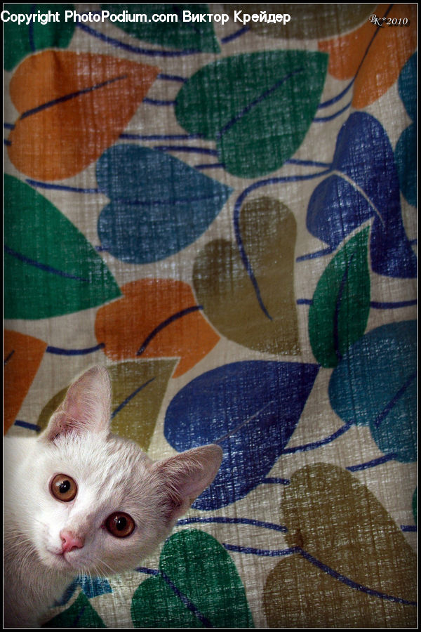 People, Person, Human, Art, Mosaic, Tile, Animal