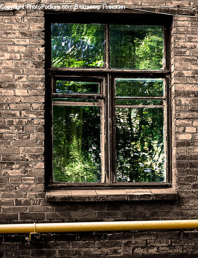 Window
