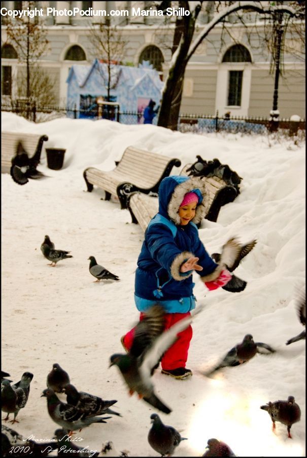 People, Person, Human, Bird, Duck, Teal, Waterfowl