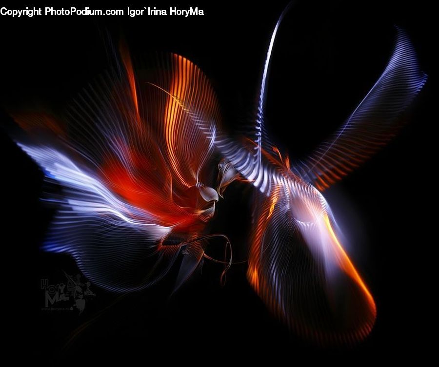 Light, Plasma, Fractal