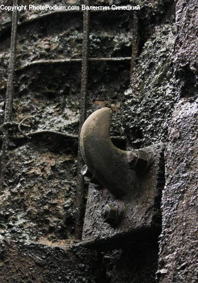 Soil