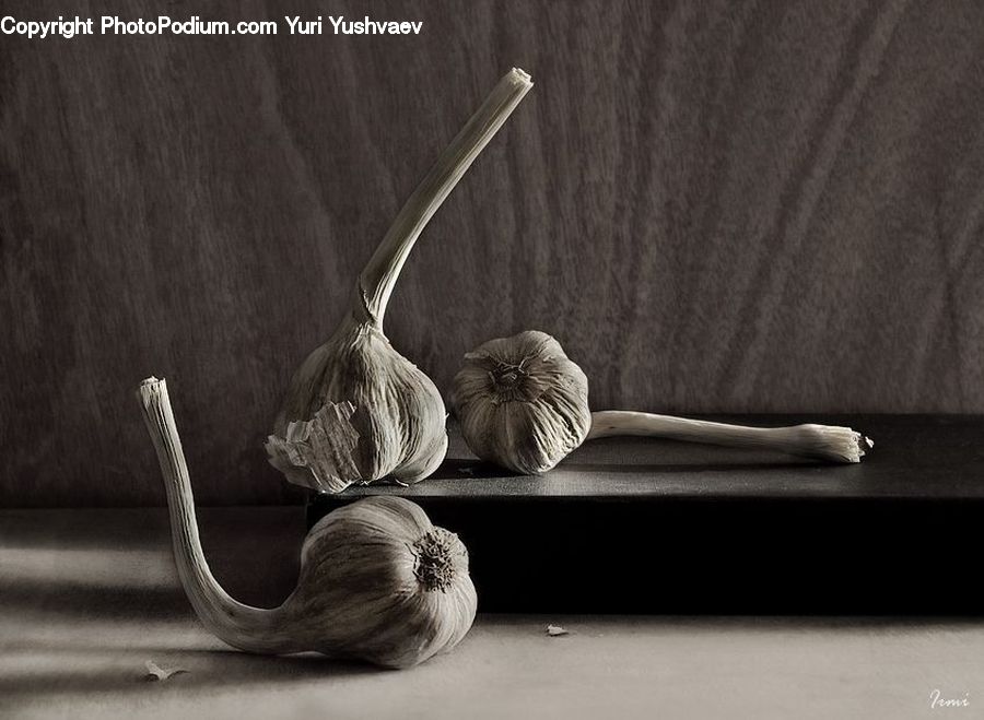 Garlic, Plant, Onion, Produce, Shallot, Vegetable, Food