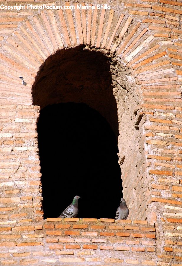 Arch, Brick, Architecture, Bell Tower, Clock Tower, Tower