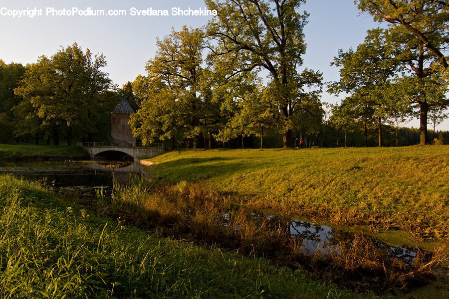 Park, Field, Grass, Grassland, Land, Outdoors, Plant