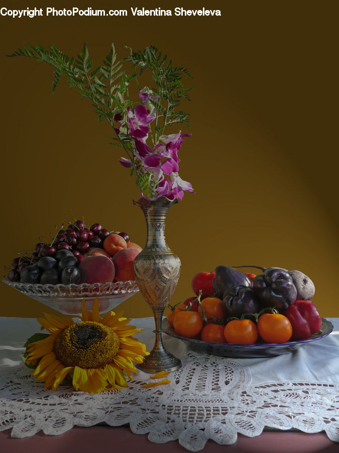 Blossom, Flora, Flower, Plant, Sunflower, Jar, Porcelain