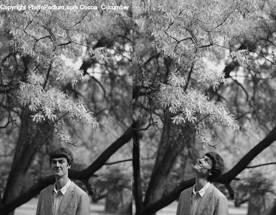 People, Person, Human, Blossom, Flora, Flower, Plant