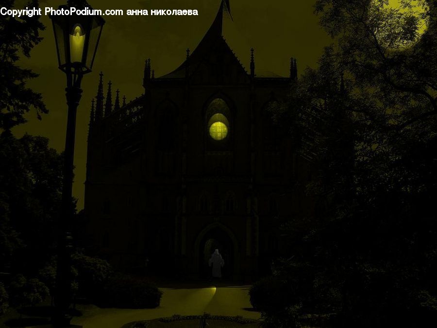 Plant, Potted Plant, Architecture, Bell Tower, Clock Tower, Tower, Cathedral